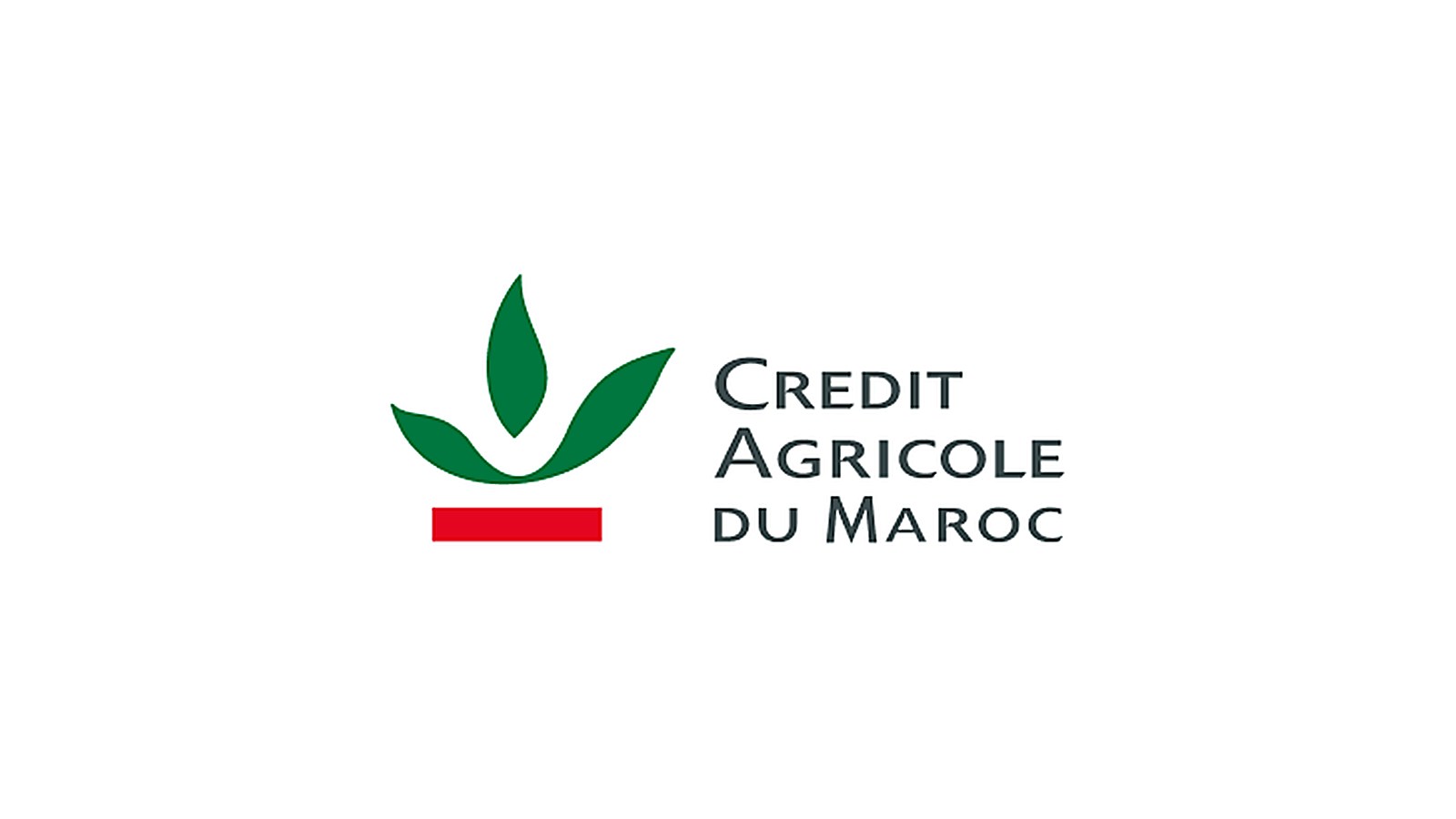 Crédit Agricole du Maroc : histoire, réseau et résultats 2024