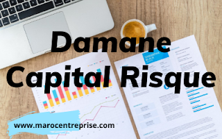 Damane Capital Risque